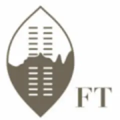 Eswatini Financial Times logo