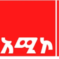 Bahir Dar FM logo