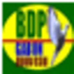 Bongo Doit Partir (BDP News) logo