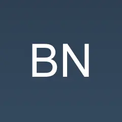 The Bakau News logo