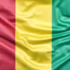 Visionguinee logo