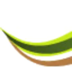 Demerara Waves Video logo