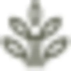 Haiti Takes Root Stories logo