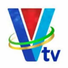 VTV Newsroom logo