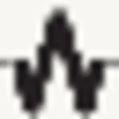 WMN logo