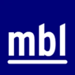Iceland Monitor logo