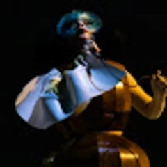 björk logo