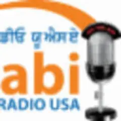 Punjabi Radio USA India logo