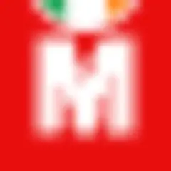 The Irish Mirror logo