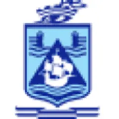 Haifa News logo