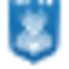 Netanya News logo