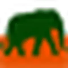 Ivoire Business logo
