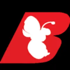 Buzzz Caribbean Lifestyle Magazine logo