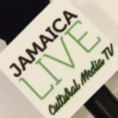 Loop Jamaica Video logo