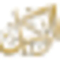 Al Wakeel News logo
