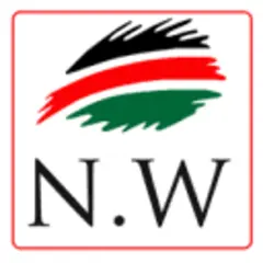 Nairobi Wire logo