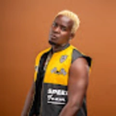 Willy Paul Thee Pozze logo