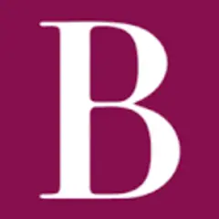 Bordo logo