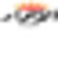 Al Anwar logo