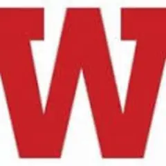 The Witness logo