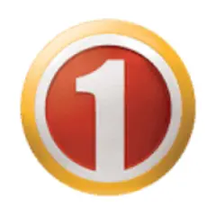 SABC 1 (Regional) logo