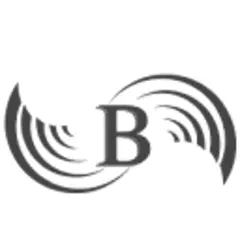 Liechtenstein Bankers Association Publications logo