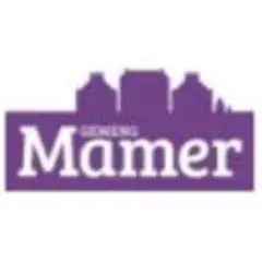 Mamer News logo