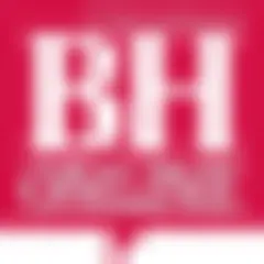 Berita Harian logo