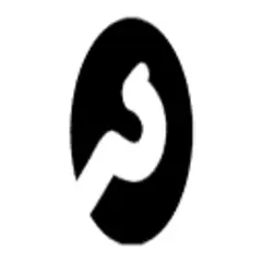 Dhivehi Insight logo