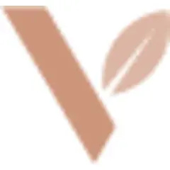 Vida Magazine logo