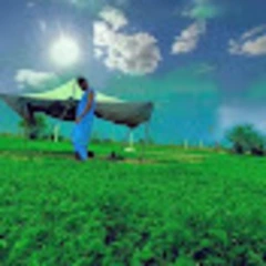 Mokhtar OULD Sellahi logo