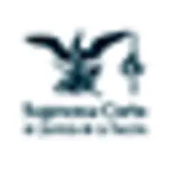 Canal Judicial logo