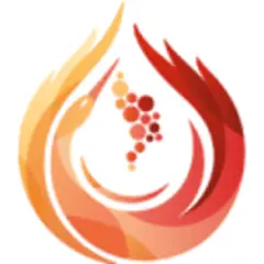 Moldova Wine Magazine logo