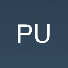 Punkt logo