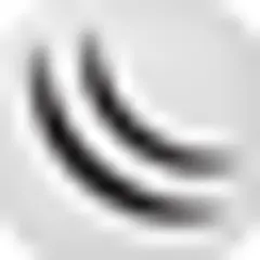 Steppe Magazine logo