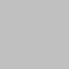 Sonin.mn logo