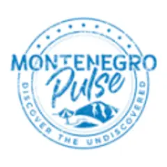 Montenegro Pulse logo