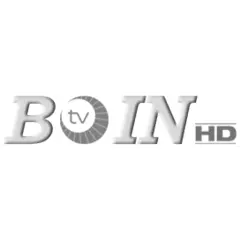 TV Boin logo