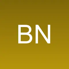 Buchter News logo