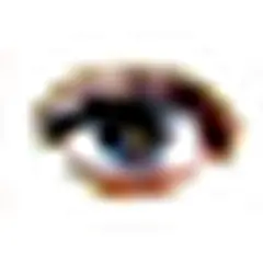 Caprivi Vision logo