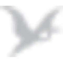 Greymouth Star logo