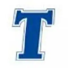Times Online Auckland logo