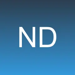Nicaragua Dispatch logo