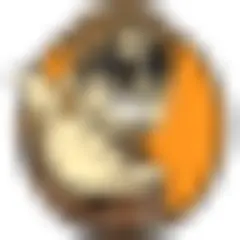 Le Républicain Niger logo