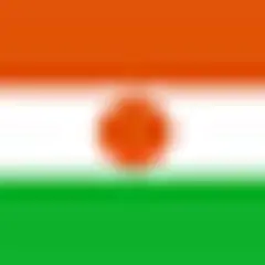 Niamey et les 2 Jours logo