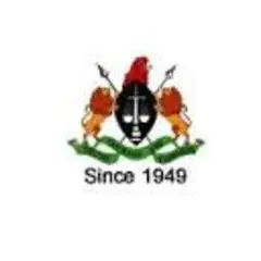 Nigerian Tribune logo