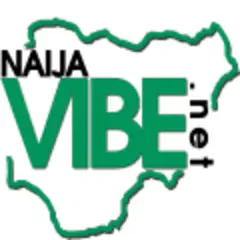 Naija Vibes Podcast logo