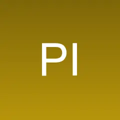 Pyongyang Insider logo