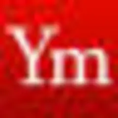 Youlin Magazine logo