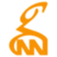 GNN logo
